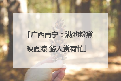 广西南宁：满池粉黛映夏凉 游人赏荷忙